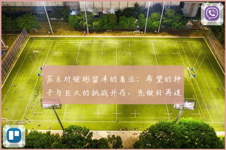 苏东对徐彬留洋的看法：希望的种子与巨大的挑战并存，先做好再追求完美