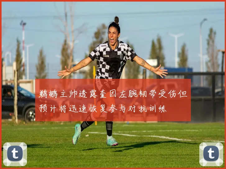 鹈鹕主帅透露奎因左腕韧带受伤但预计将迅速恢复参与对抗训练